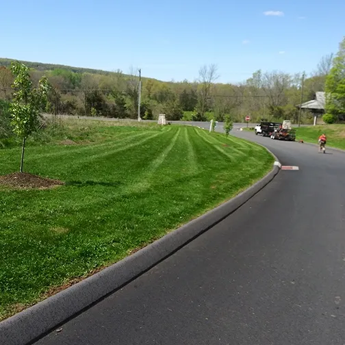 A freshly mowed lawn beside a paved residential road
