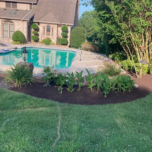 Mulched planting bed near a backyard pool